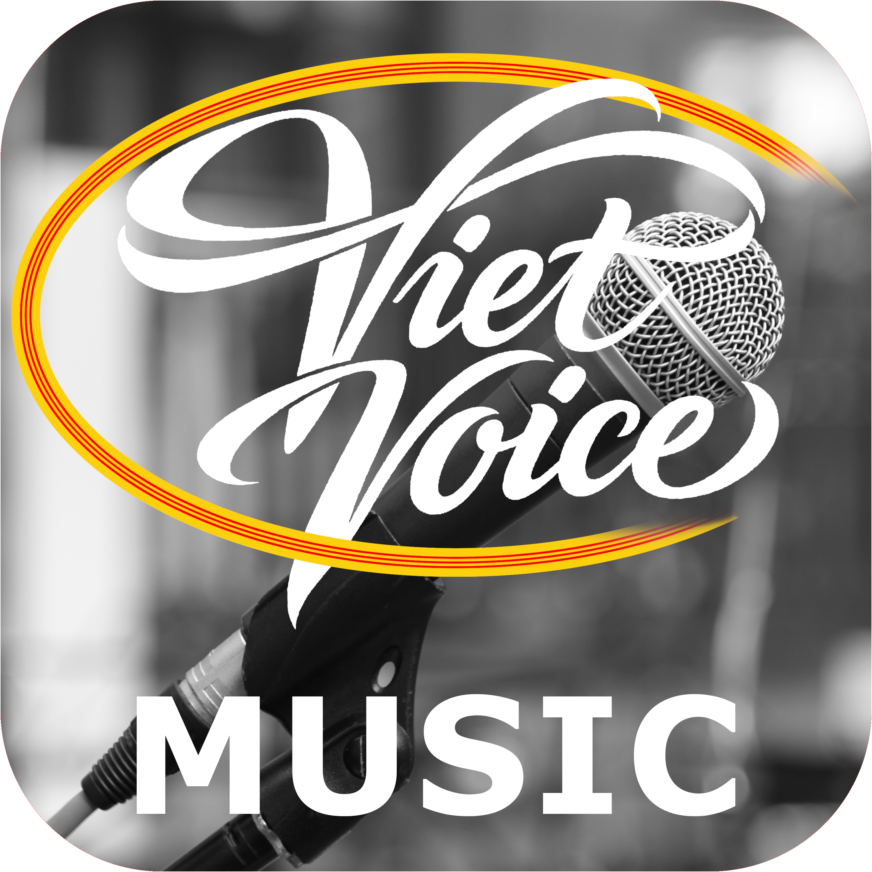 Viet Voice VN